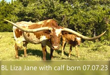BL LIZA JANE 840