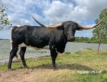 M7 Ace of Spades ♠️