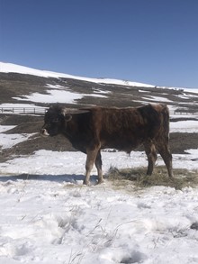 High Plains Drifter 18
