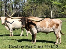 Cowboy Fox Chex