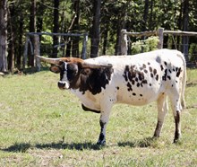 4W Perfect Autumn Storm