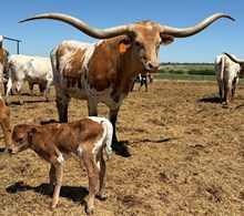 J7 RED OCEAN 🇺🇸