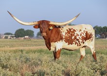 RJF STRAWBERRY SUNDAE 